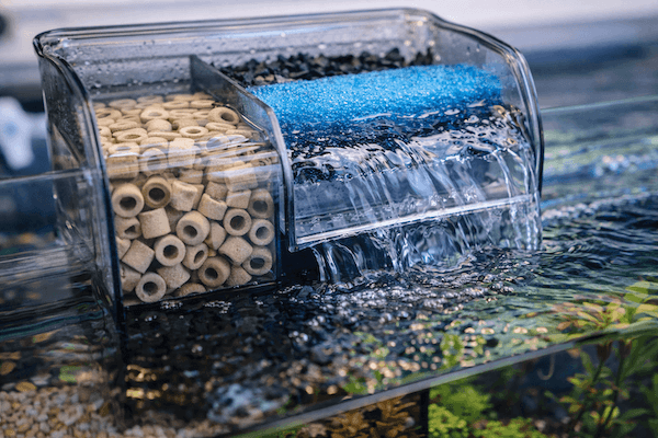 Akvarium-novy-filtr-2